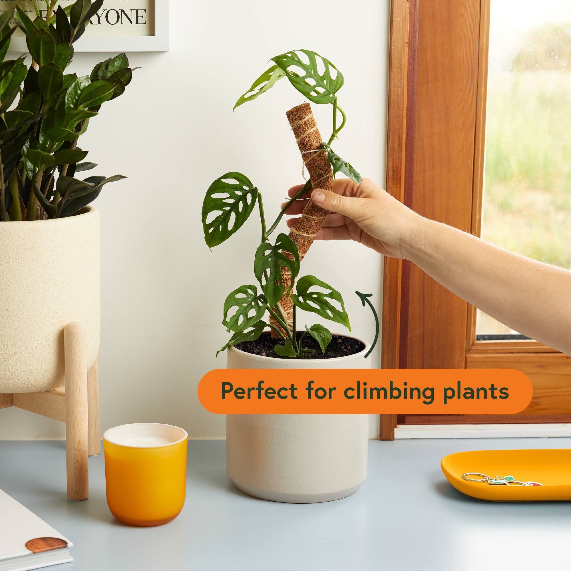 We The Wild™ 16" Coco Climber Bendable Extendable Grow Pole for Houseplants